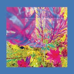 The Reds, Pinks And Purples - The Past Is A Garden I Never Fed - Import CD