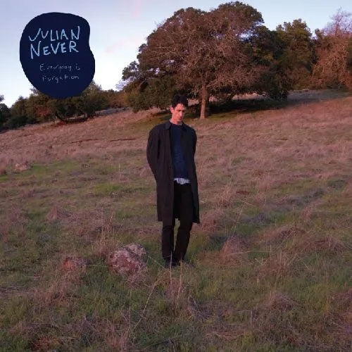 Julian Never - Everyday Is Purgation - Import Vinyl LP Record