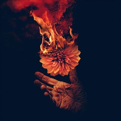 Wolves At The Gate - Eulogies - Import CD