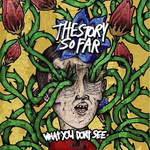 The Story So Far - What You Don't See - Import Royal Blue/White Splatter Vinyl LP Record