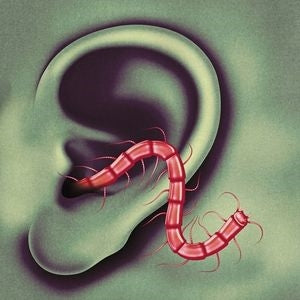 Thee Oh Sees - An Odd Entrances - Import CD