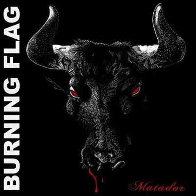 Burning Flag - Matador - Import Vinyl LP Record