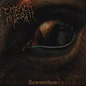 Carach Angren - Lammendam - Import CD