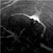 Altarage - The Approaching Roar - Import CD