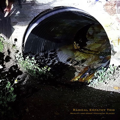 Radical Empathy Trio - Reality and Other Imaginary Places - Import Vinyl LP Record