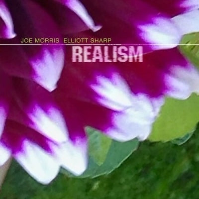 Joe Morris、Elliott Sharp  -  Realism  -  Import CD