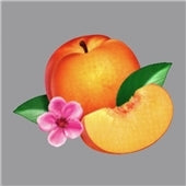 Phoenix - Bankrupt! - Import CD