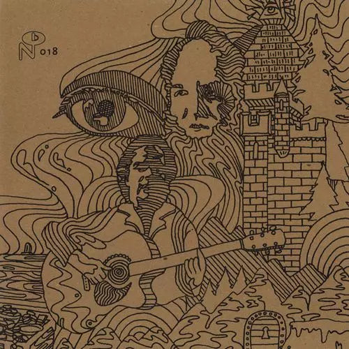 V.A. (Wayfaring Strangers) - Wayfaring Strangers: Guitar Soli - Import Vinyl 2 LP Record
