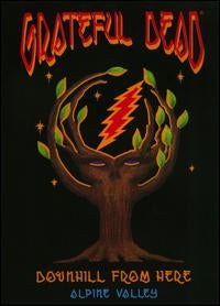 The Grateful Dead - Downhill From Here: Alpine Valley - Import DVD