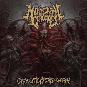 Architectural Genocide - Cordyceptic Anthropomorph - Import CD