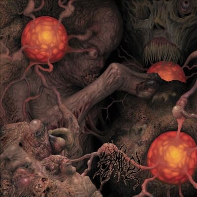Various Artists - Sheol 4-Way Split - Import CD