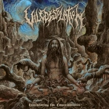Vile Desolation - Annihilating The Consciousness - Import CD