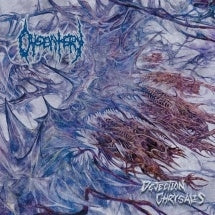 Dysentery - Dejection Chrysalis - Import CD