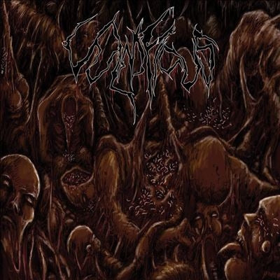 Vulnificus - Inclination - Import CD