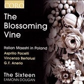 The Sixteen - Sixteen / Dougan / Pacelli / Bertolusi: Blossoming Vine: Italian Maestri in Poland - Import CD