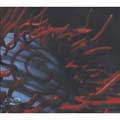 Tool - Schism - Import DVD