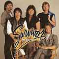 Survivor - The Best Of Survivor - Import CD