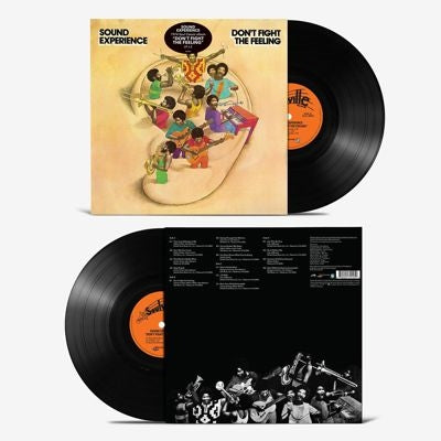 Sound Experience - Dont Fight the Feeling - Import 2 LP Record