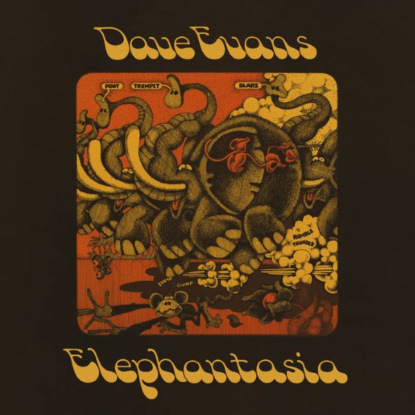 Tortuga - Iterations - Import CD