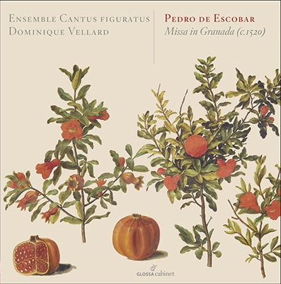 Dominique Vellard - De Escobar: Missa in Granada - Import CD