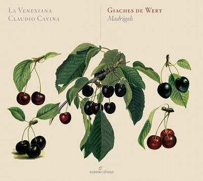 Wert / La Venexiana / Cavina - Giaches De Wert: Madrigali - Import CD
