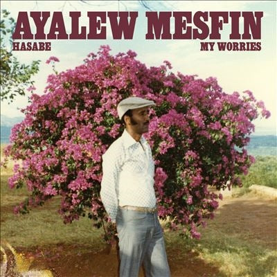 Ayalew Mesfin - Hasabe (My Worries) - Import Vinyl LP Record