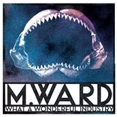 M. Ward - What a Wonderful Industry - Import CD