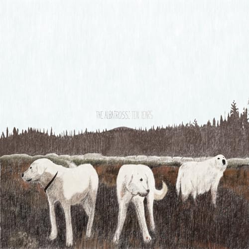 Foxing - The Albatross: Ten Years - Import Vinyl LP Record