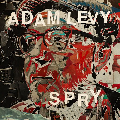 Adam Levy - Spry - Import CD