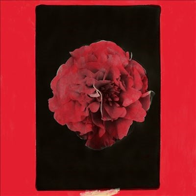 Activity - A Thousand Years In Another Way - Import Vinyl LP Record