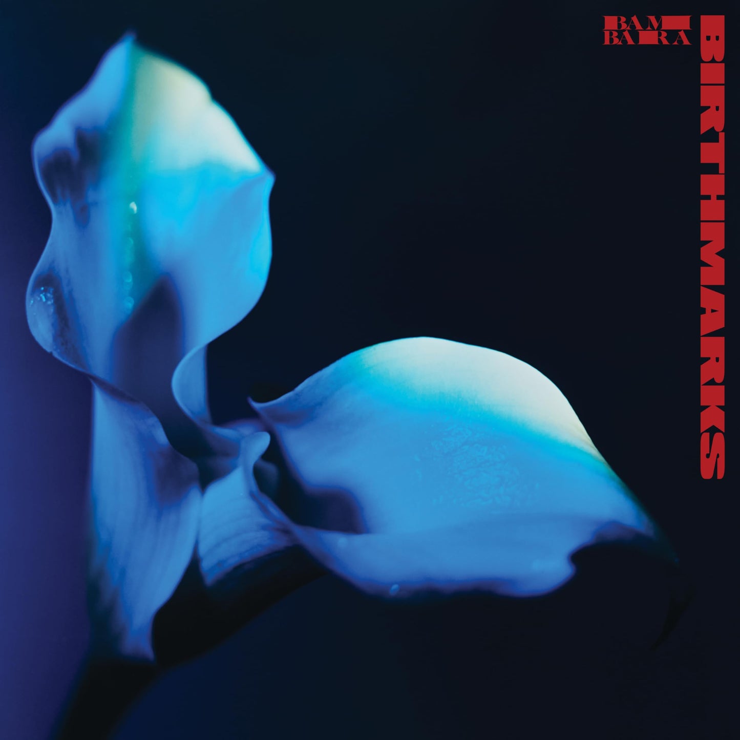 Bambara - Birthmarks - Import Transparent Blue Vinyl LP Record