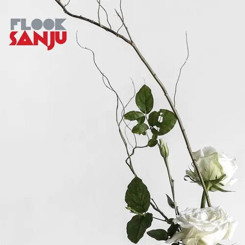 Flook - Sanju - Import CD