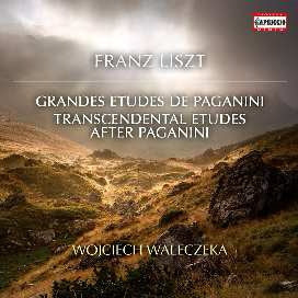 LISZT,F. - Transcendental Etudes After Paganini - Import CD