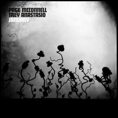 Page Mcconnell 、 Trey Anastasio - January - Import Vinyl LP Record