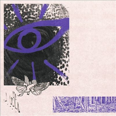 Hippo Campus - Lp3 - Import CD