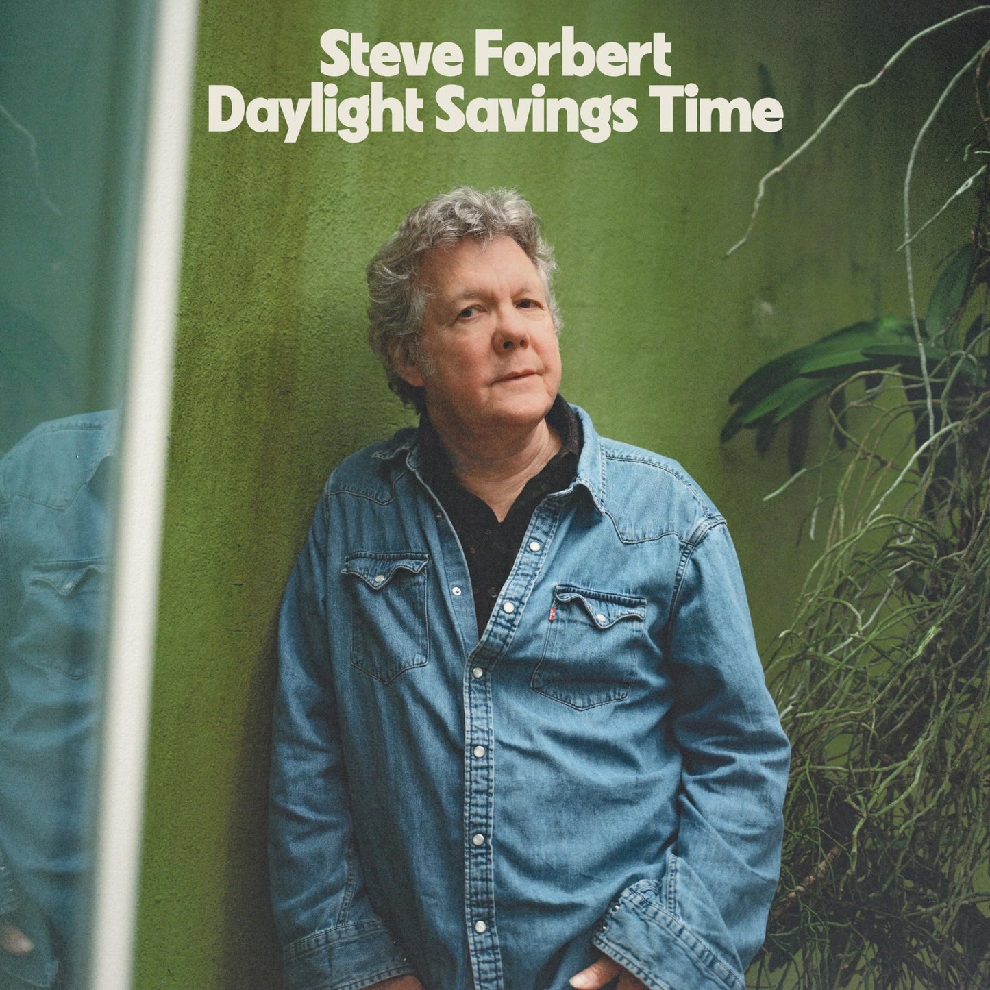 Steve Forbert - Daylight Savings Time - Import CD