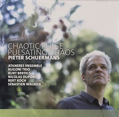Various Artists - Chaotic Pulse - Pulsating Chaos - Import CD
