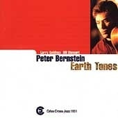Peter Bernstein Trio - Earth Tones - Import CD