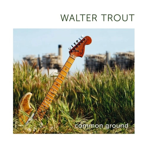 Walter Trout - Common Ground (15Th Anniversary Edition) - Import 180d Vinyl 2 LP Record Limited Edition