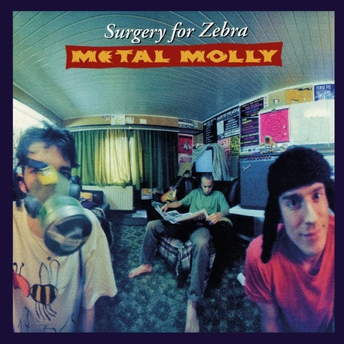 Metal Molly - Surgery For Zebra - Import 180g Vinyl LP Recurd Limited Edition