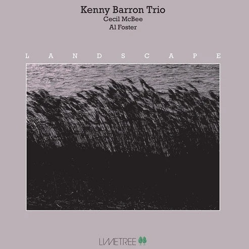 Kenny Barron Trio - Landscape - Import 180g Vinyl LP Record