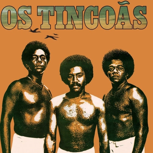 Os Tincoas - Os Tincoas - Import 180g Vinyl LP Record