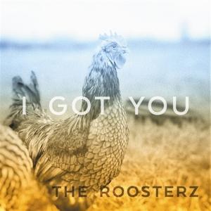 The Roosterz - I Got You - Import Vinyl 7 Inch Single Record