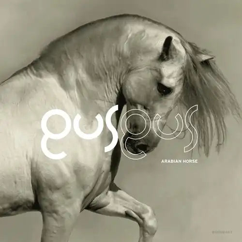 Gus Gus - Arabian Horse 2Lp - Import Vinyl 2 LP Record