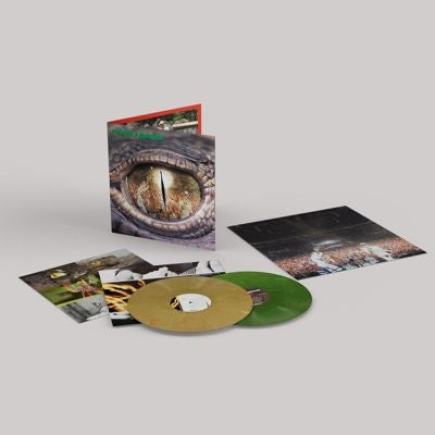 Rodrigo Y Gabriela - Rodrigo Y Gabriela (20Th Anniversary) / Re-Foc - Import Green, Yellow Vinyl 2 LP Record Limited Edition