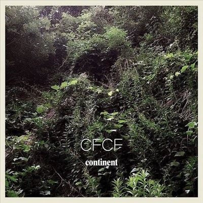 CFCF - Continent - Import Vinyl 2 LP Record