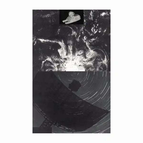 Radio Species - Compressed Knowledge - Import Cassette Tape