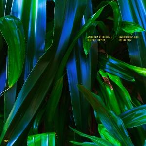 Anushka Chkheidze、、Robert Lippok - Uncontrollable Thoughts - Import CD
