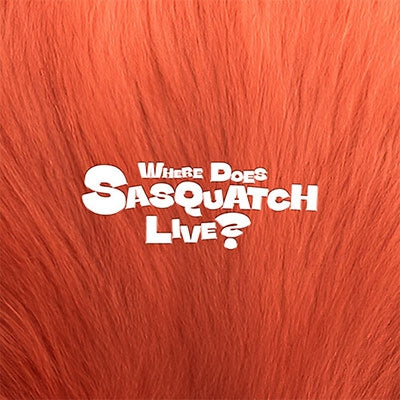 Zior Park - Where Does Sasquatch Live? - Import 2 CD