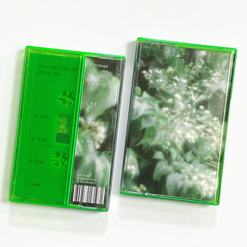 Gye0M - What Remains Is A Thick Scent And Last Love - Import Cassette Tape